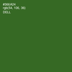 #366A24 - Dell Color Image