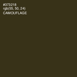 #373218 - Camouflage Color Image