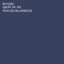 #37405C - Pickled Bluewood Color Image