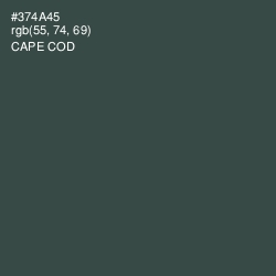#374A45 - Cape Cod Color Image