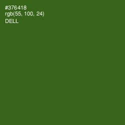 #376418 - Dell Color Image