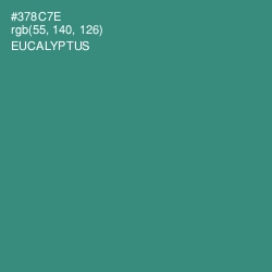 #378C7E - Eucalyptus Color Image