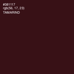 #381117 - Tamarind Color Image