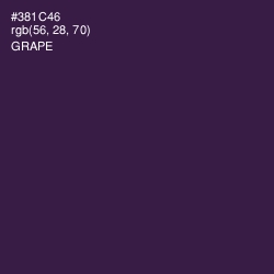 #381C46 - Grape Color Image