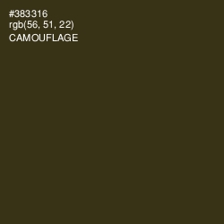 #383316 - Camouflage Color Image