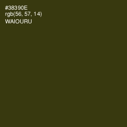 #38390E - Waiouru Color Image