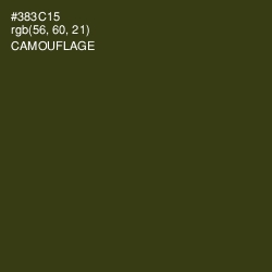 #383C15 - Camouflage Color Image