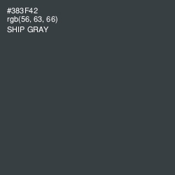 #383F42 - Ship Gray Color Image
