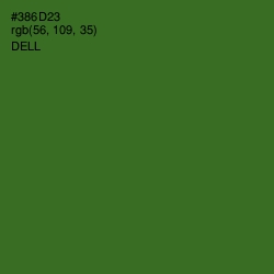 #386D23 - Dell Color Image