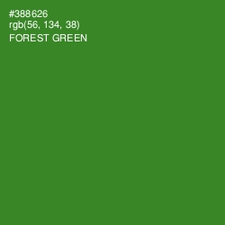 #388626 - Forest Green Color Image