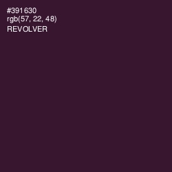 #391630 - Revolver Color Image