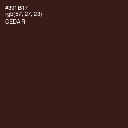 #391B17 - Cedar Color Image
