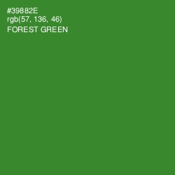 #39882E - Forest Green Color Image