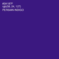 #3A187F - Persian Indigo Color Image