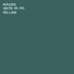 #3A6360 - William Color Image