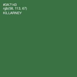 #3A7143 - Killarney Color Image