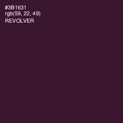 #3B1631 - Revolver Color Image