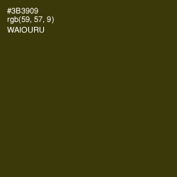 #3B3909 - Waiouru Color Image