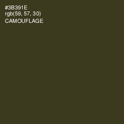 #3B391E - Camouflage Color Image