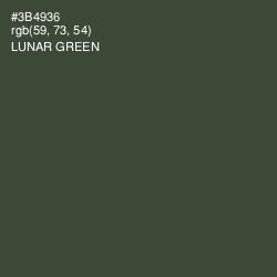 #3B4936 - Lunar Green Color Image