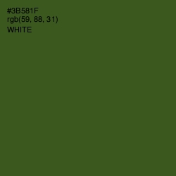 #3B581F - Clover Color Image