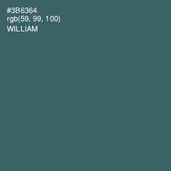 #3B6364 - William Color Image