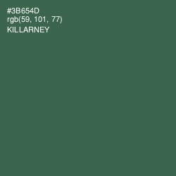 #3B654D - Killarney Color Image