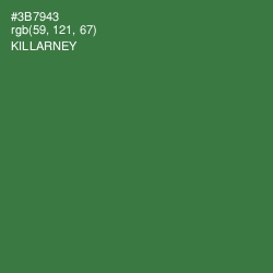 #3B7943 - Killarney Color Image