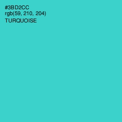 #3BD2CC - Turquoise Color Image