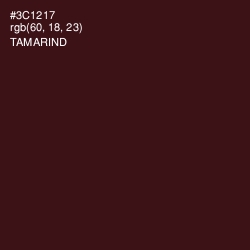 #3C1217 - Tamarind Color Image