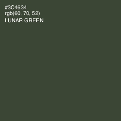 #3C4634 - Lunar Green Color Image