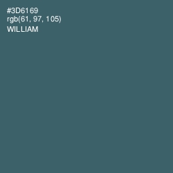 #3D6169 - William Color Image