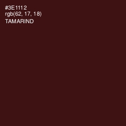 #3E1112 - Tamarind Color Image