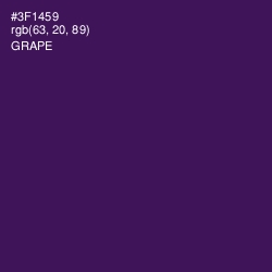 #3F1459 - Grape Color Image