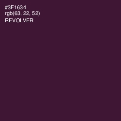 #3F1634 - Revolver Color Image