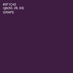 #3F1C42 - Grape Color Image