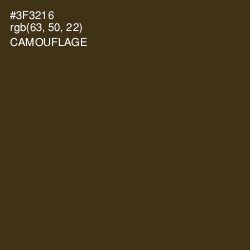 #3F3216 - Camouflage Color Image