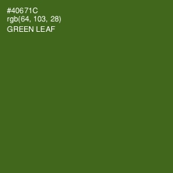 #40671C - Green Leaf Color Image