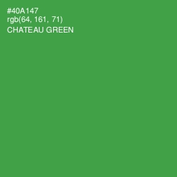 #40A147 - Chateau Green Color Image