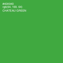 #40A940 - Chateau Green Color Image