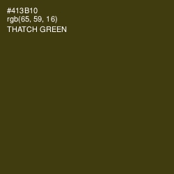 #413B10 - Thatch Green Color Image