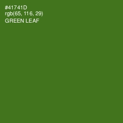 #41741D - Green Leaf Color Image