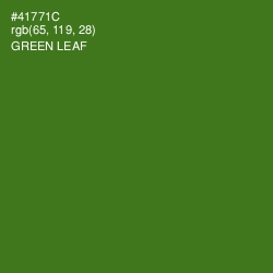 #41771C - Green Leaf Color Image