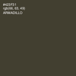 #423F31 - Armadillo Color Image