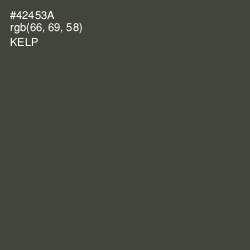 #42453A - Kelp Color Image