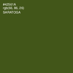 #42561A - Saratoga Color Image