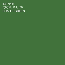 #42723B - Chalet Green Color Image