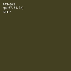 #434022 - Kelp Color Image