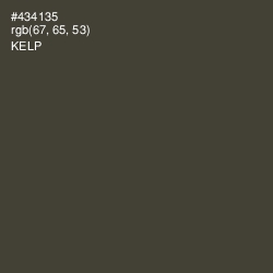 #434135 - Kelp Color Image