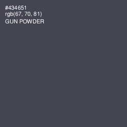 #434651 - Gun Powder Color Image